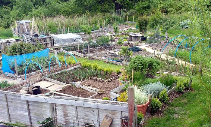 Tregarth Community Allotments CIC